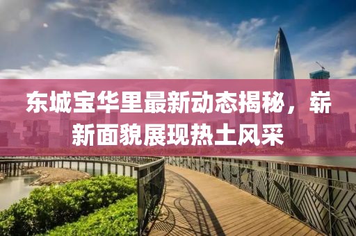 東城寶華里最新動態(tài)揭秘，嶄新面貌展現(xiàn)熱土風(fēng)采