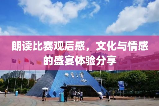 朗讀比賽觀后感，文化與情感的盛宴體驗分享