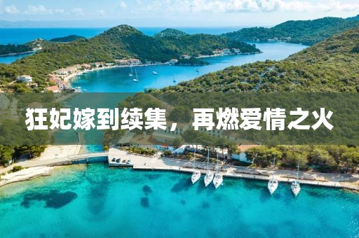 狂妃嫁到續(xù)集，再燃愛情之火