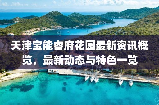 天津?qū)毮茴８▓@最新資訊概覽，最新動態(tài)與特色一覽