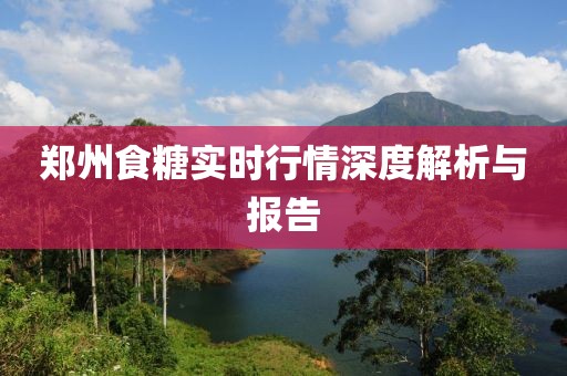 鄭州食糖實時行情深度解析與報告