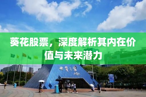 葵花股票，深度解析其內(nèi)在價值與未來潛力