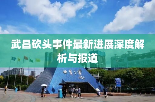 武昌砍頭事件最新進展深度解析與報道