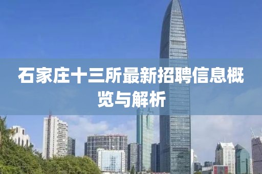 石家莊十三所最新招聘信息概覽與解析