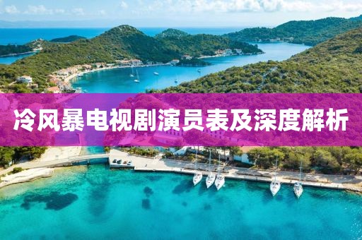 冷風(fēng)暴電視劇演員表及深度解析