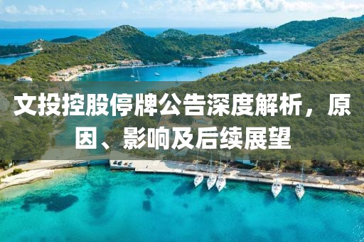文投控股停牌公告深度解析，原因、影響及后續(xù)展望