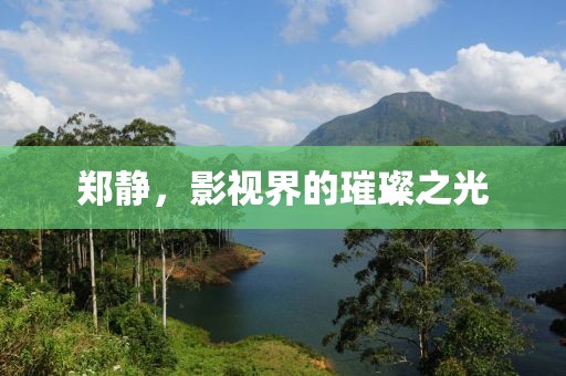 鄭靜，影視界的璀璨之光