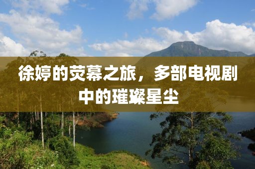 徐婷的熒幕之旅，多部電視劇中的璀璨星塵