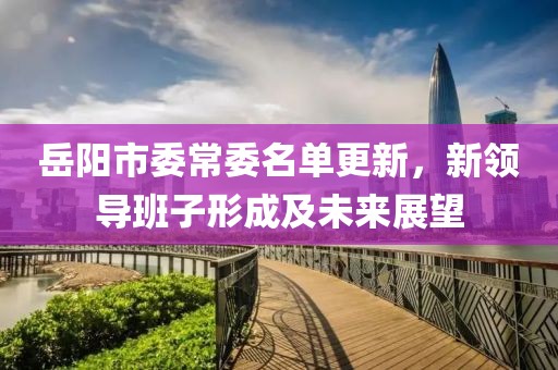 岳陽(yáng)市委常委名單更新，新領(lǐng)導(dǎo)班子形成及未來(lái)展望