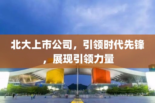 北大上市公司，引領(lǐng)時(shí)代先鋒，展現(xiàn)引領(lǐng)力量