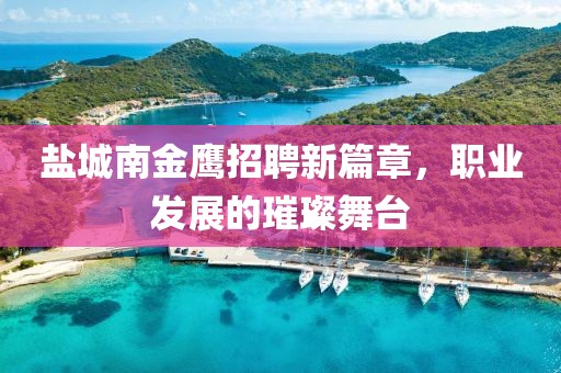 鹽城南金鷹招聘新篇章，職業(yè)發(fā)展的璀璨舞臺(tái)