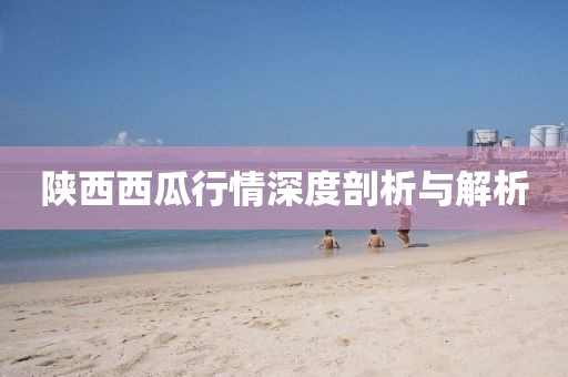 陜西西瓜行情深度剖析與解析