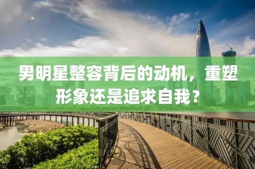 男明星整容背后的動機，重塑形象還是追求自我？