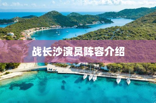 戰(zhàn)長沙演員陣容介紹
