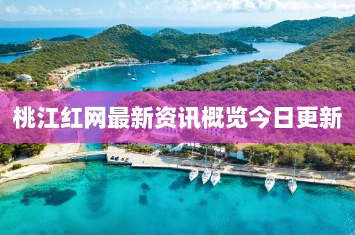 桃江紅網最新資訊概覽今日更新