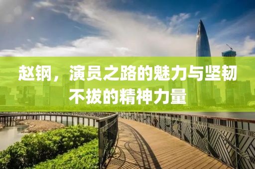 趙鋼，演員之路的魅力與堅(jiān)韌不拔的精神力量