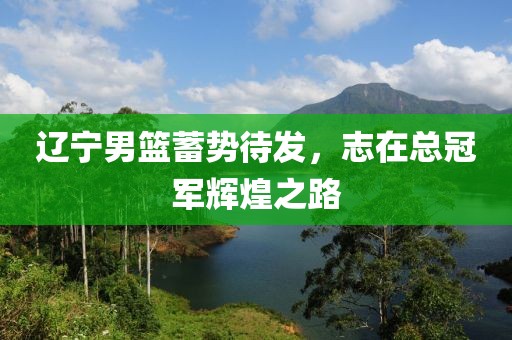 遼寧男籃蓄勢待發(fā)，志在總冠軍輝煌之路
