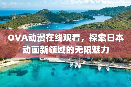 OVA動漫在線觀看，探索日本動畫新領(lǐng)域的無限魅力