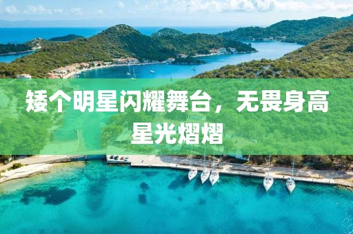 矮個(gè)明星閃耀舞臺(tái)，無(wú)畏身高星光熠熠