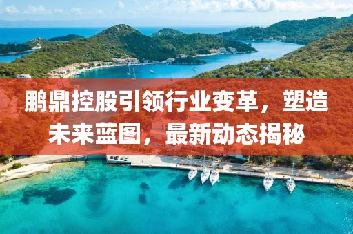 鵬鼎控股引領(lǐng)行業(yè)變革，塑造未來藍圖，最新動態(tài)揭秘