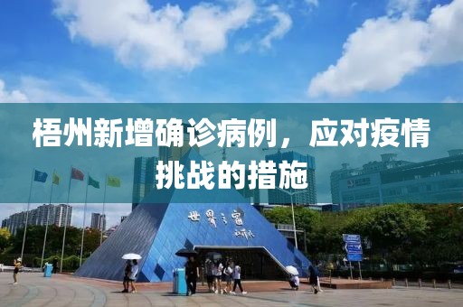 梧州新增確診病例，應(yīng)對(duì)疫情挑戰(zhàn)的措施