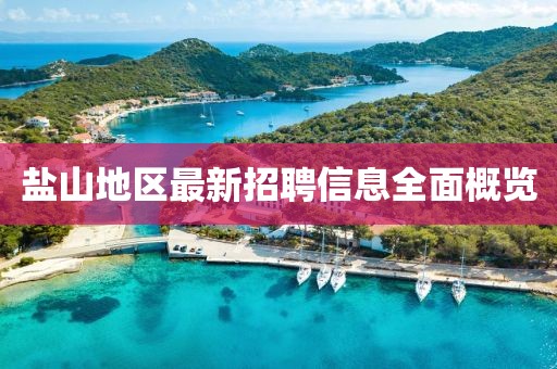 鹽山地區(qū)最新招聘信息全面概覽