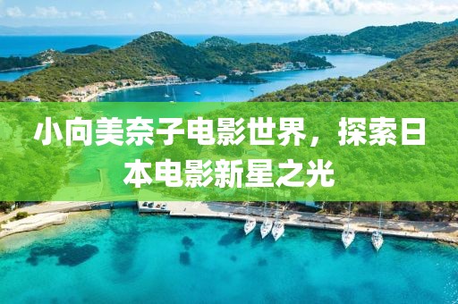 小向美奈子電影世界，探索日本電影新星之光
