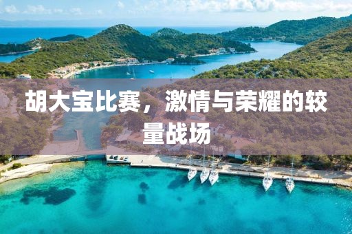 胡大寶比賽，激情與榮耀的較量戰(zhàn)場