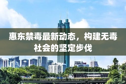 惠東禁毒最新動態(tài)，構(gòu)建無毒社會的堅定步伐