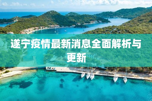 遂寧疫情最新消息全面解析與更新