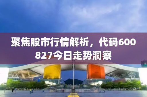 聚焦股市行情解析，代碼600827今日走勢洞察