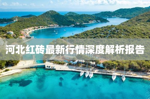 雨季盛開的花 第11頁(yè)