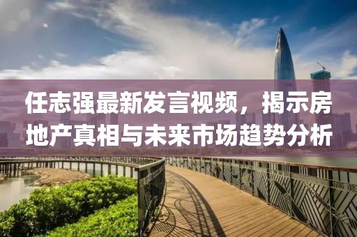 任志強最新發(fā)言視頻，揭示房地產(chǎn)真相與未來市場趨勢分析