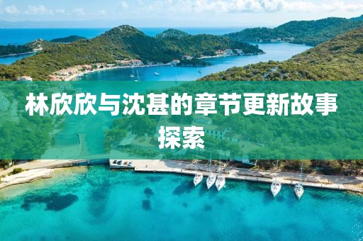 林欣欣與沈甚的章節(jié)更新故事探索
