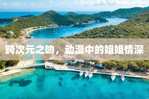 跨次元之吻，動(dòng)漫中的姐姐情深