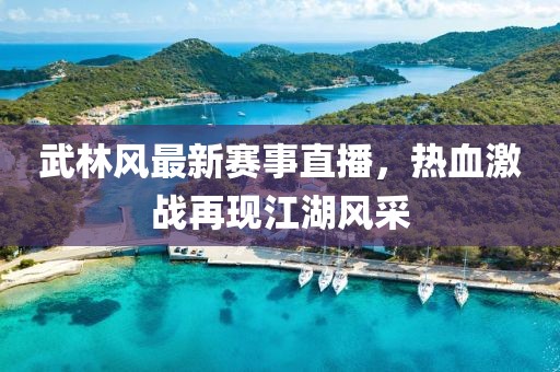 武林風(fēng)最新賽事直播，熱血激戰(zhàn)再現(xiàn)江湖風(fēng)采