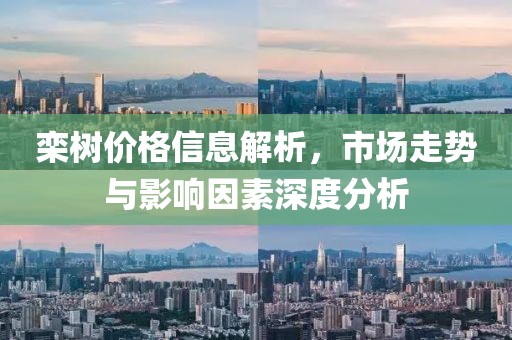 欒樹價格信息解析，市場走勢與影響因素深度分析