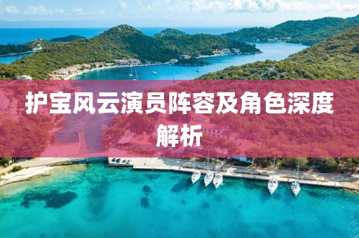 護(hù)寶風(fēng)云演員陣容及角色深度解析