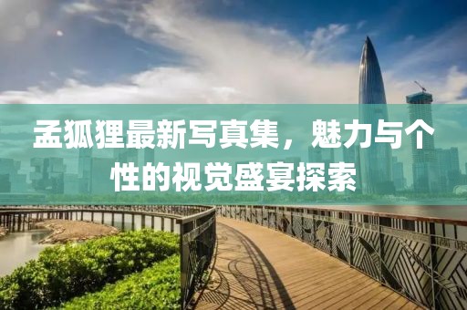 孟狐貍最新寫(xiě)真集，魅力與個(gè)性的視覺(jué)盛宴探索
