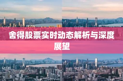 舍得股票實(shí)時(shí)動(dòng)態(tài)解析與深度展望