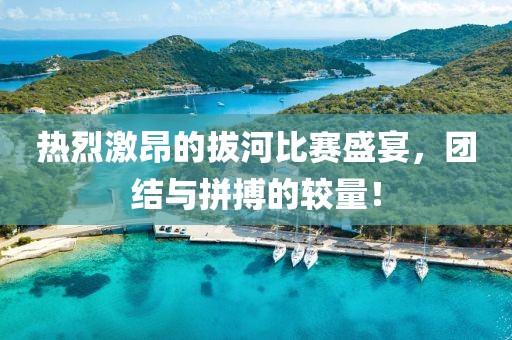 熱烈激昂的拔河比賽盛宴，團(tuán)結(jié)與拼搏的較量！