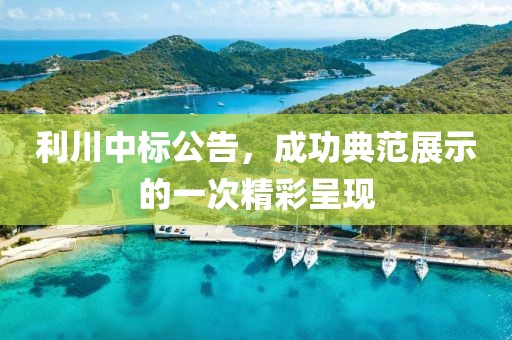 利川中標(biāo)公告，成功典范展示的一次精彩呈現(xiàn)