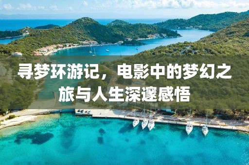 尋夢環(huán)游記，電影中的夢幻之旅與人生深邃感悟