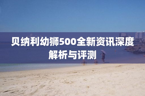 貝納利幼獅500全新資訊深度解析與評測