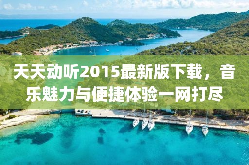 天天動(dòng)聽2015最新版下載，音樂魅力與便捷體驗(yàn)一網(wǎng)打盡