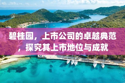 碧桂園，上市公司的卓越典范，探究其上市地位與成就