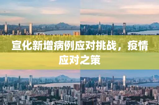 宣化新增病例應(yīng)對(duì)挑戰(zhàn)，疫情應(yīng)對(duì)之策