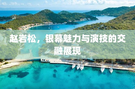 趙巖松，銀幕魅力與演技的交融展現(xiàn)