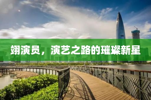 翊演員，演藝之路的璀璨新星