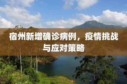 宿州新增確診病例，疫情挑戰(zhàn)與應(yīng)對策略